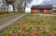 Old Swedish outbuilding in spring season