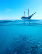Fish in a sea and sail boat Fish in a sea and sail boat