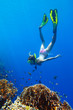 Freediver
