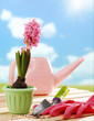 Gardening tools and flower Gardening tools and flower