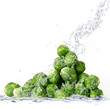 cavolini splash