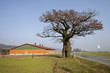 Die Grenzeiche in Dudenhausen Die Grenzeiche in Dudenhausen