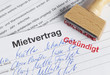 Kündigung des Mietverhältnisses