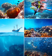 Collage underwater Collage underwater