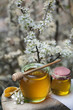 honey