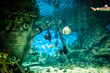 Photo: oceanarium oceanarium