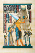 Egyptian history concept with papyrus Egyptian history concept with papyrus