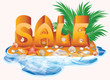 Summer sale imagen with palm tree and seashells