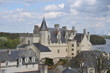 Photo: Les toitures de Montsoreau Les toitures de Montsoreau
