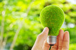 Foto: hand holding eco light bulb energy concept hand holding eco light bulb energy concept