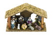 Jesus the Newborn