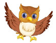 Isolated comical owl