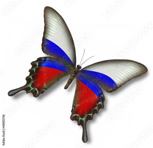 Foto: Russian flag on butterfly Russian flag on butterfly