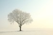 Lonely tree in a field on a sunny cloudless morning