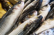 fish fresh