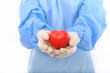 Foto: sterile doctor holding heart sterile doctor holding heart