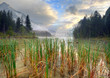 Hintersee