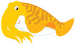 Cuttlefish