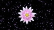 Universal flower Loop