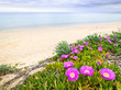 Photo: Aegean sea coast in Greece Aegean sea coast in Greece