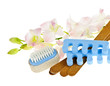 Pedicure accessories and tools