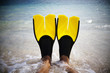 Yellow fins