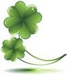 Quadrifoglio-Clover-Shamrock-vector