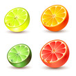 Set of citrus fruit - lemon, orange, grapefruit and lime.