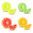 Set of citrus fruit - lemon, orange, grapefruit and lime.