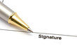 pen and signature paper