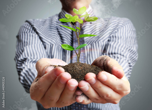 Photo: Hand holding green plant Hand holding green plant