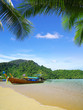 beach and tropical sea