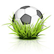 Soccer ball on reflecting grass
