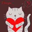 Loving grey cat