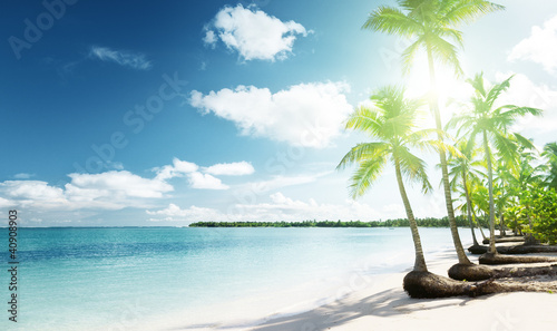 Photo: palms and sea palms and sea