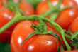 Closeup of a bundle of fresh tomatoes