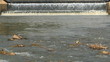rubber dam