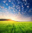Beautiful landscape.