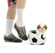 sports hound