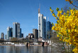 Frankfurt am Main im Frühling