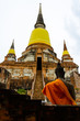 Buddha Statue and Ancient Stupa  in Ayutthaya, Thailand