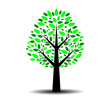 Albero Vector