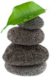 feuille de ficus sur pyramide de galets