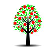 ALBERO FRUTTO