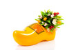 Typical Dutch clog and plastic tulips