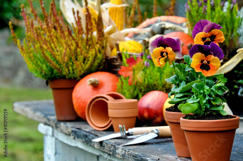 Foto: Gartentisch Gartentisch
