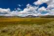 Yellowstone NP