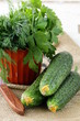 fresh cucumbers and fresh herbs parsley, dill fresh cucumbers and fresh herbs parsley, dill