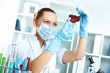 Young scientist working in laboratory