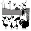 Vector: Vector illustration:farm birds Vector illustration:farm birds